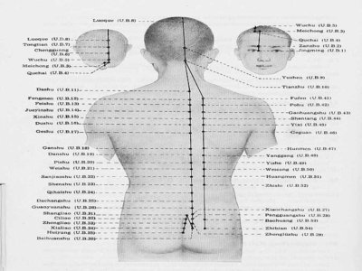 Take Care Is your Spine Fine? Say Hai To UB Channel